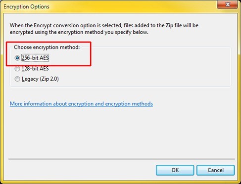 -Screenshot of the 'Encryption Options' dialog which gives instructions select '256-bit AES' encryption